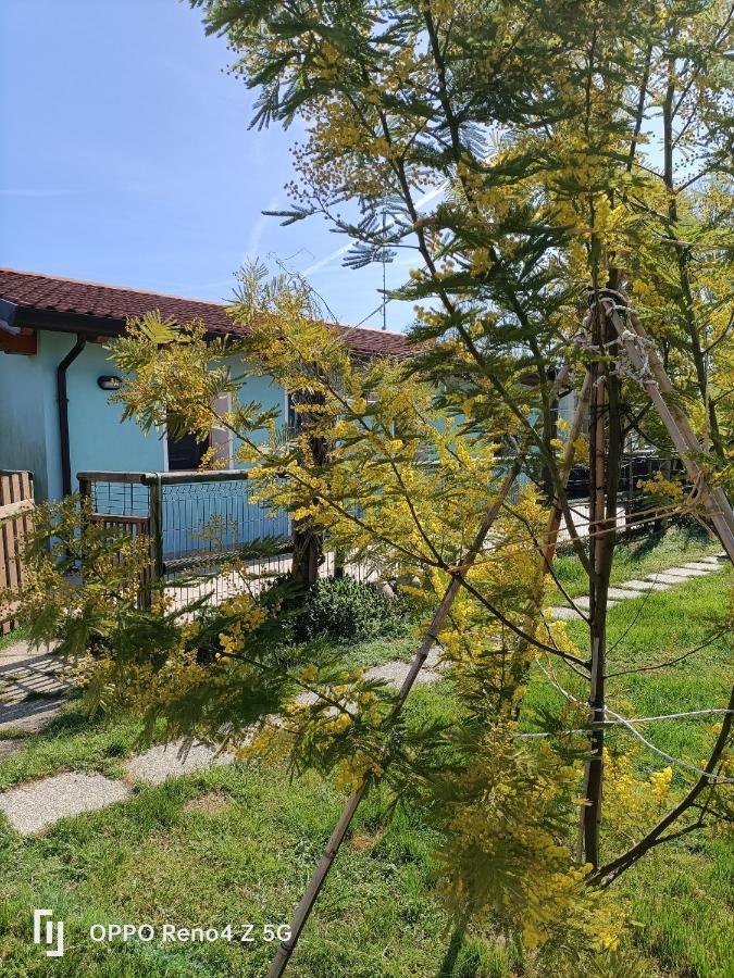 דירות Villa Cameroni Casa Oasi מראה חיצוני תמונה